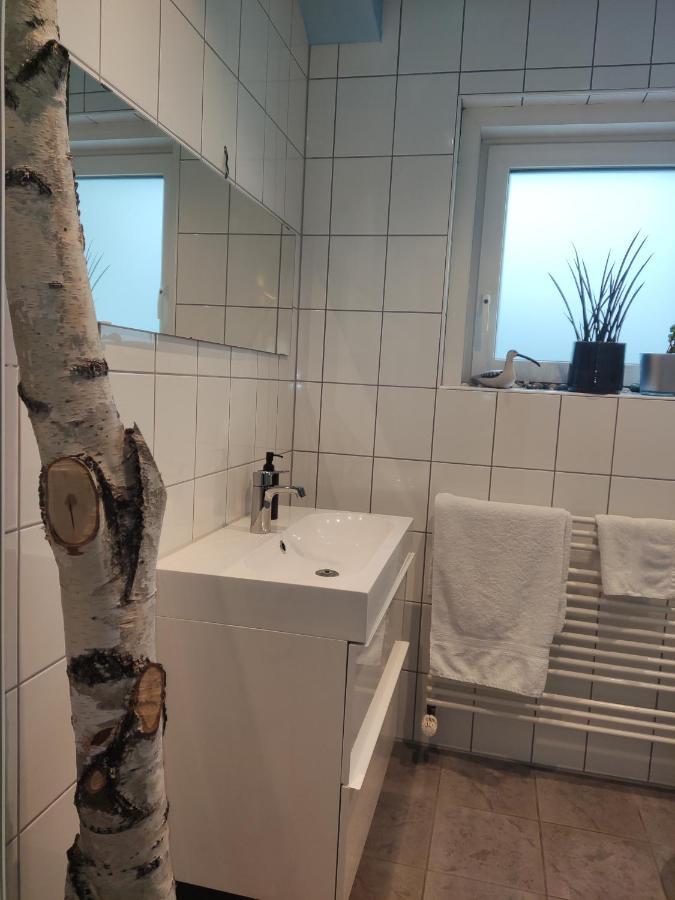 Zen Apartment - Spacious - Garden - Kitchen Karlsruhe Eksteriør billede