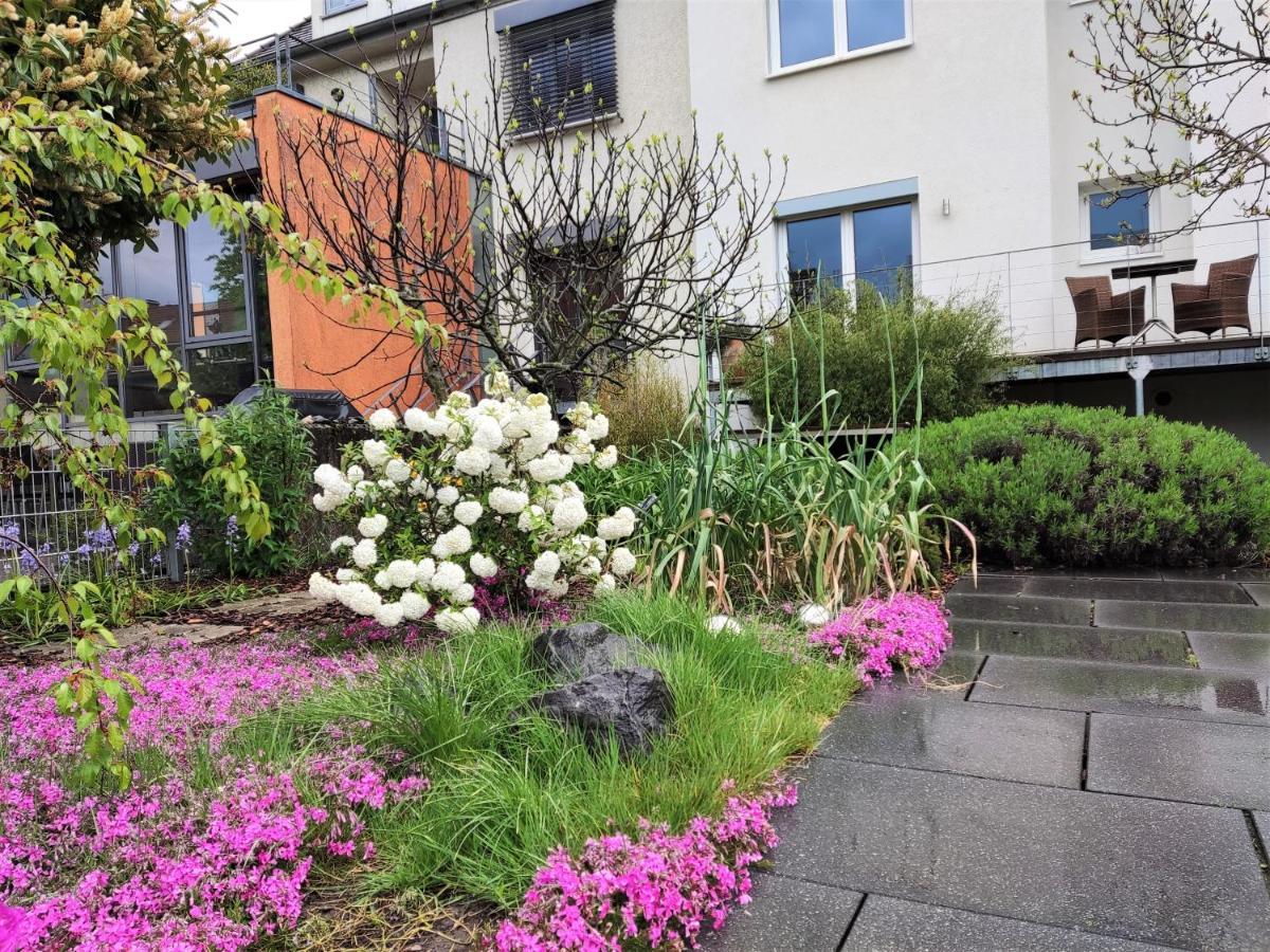 Zen Apartment - Spacious - Garden - Kitchen Karlsruhe Eksteriør billede
